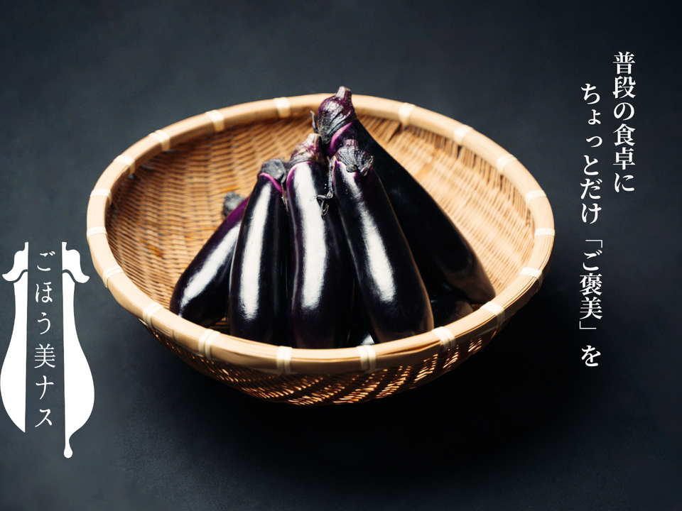 【野菜ソムリエサミット『金賞』受賞！！】ごほう美ナス　（約2kg、ナス16－20本）