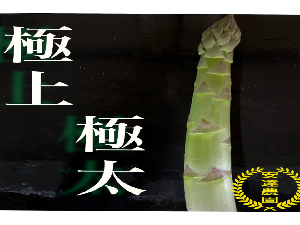 極上を体感せよ👑 【極上極太2L〜3L】/通販サイト3000件以上販売👑早い者勝ち！まさに極上！感動のアスパラ　1キロ