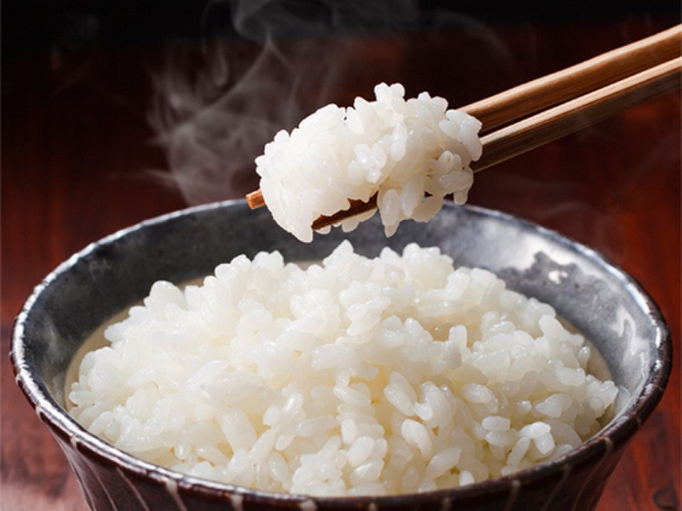 新潟県産　コシヒカリ  5kg  無洗米  令和6年産　(200)