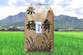 自然栽培のお米　20年以上　（24年度産　おいしい玄米5ｋｇ）昔の品種：朝日米　自家採取