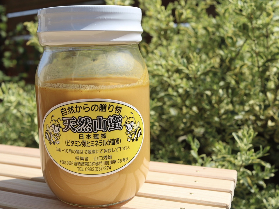 令和６年度　濃厚な甘味の天然山蜜(450g)大ビン🐝