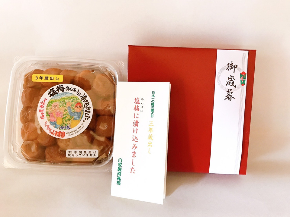 (500g)【ギフト]無添加☆ 昔ながらのすっぱい！梅干し[紀州みなべ産]
