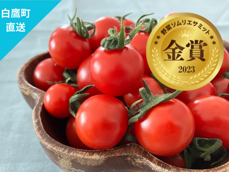 【野菜ソムリエサミット金賞受賞】フルーツトマト『アマティ』1kg（250gx4p）