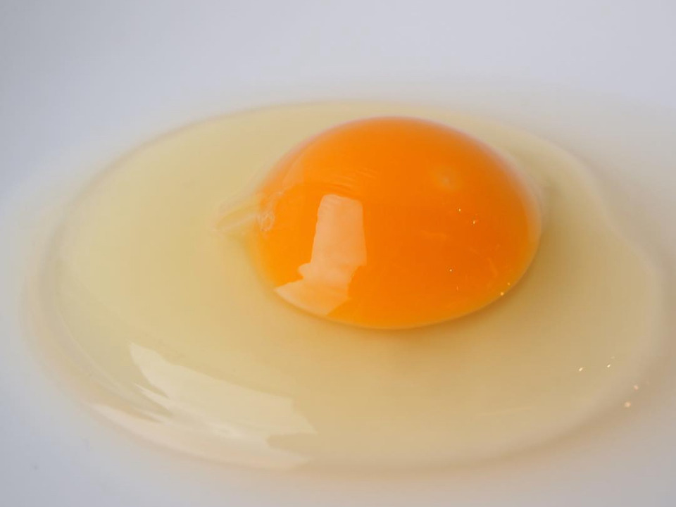 幸せ島育ち！✨有機野菜を食べて育った平飼い有精卵　30個　Happy Eggs