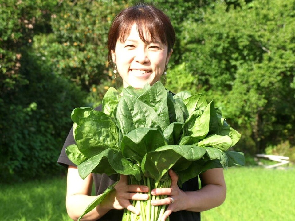 魂のほうれん草　7袋