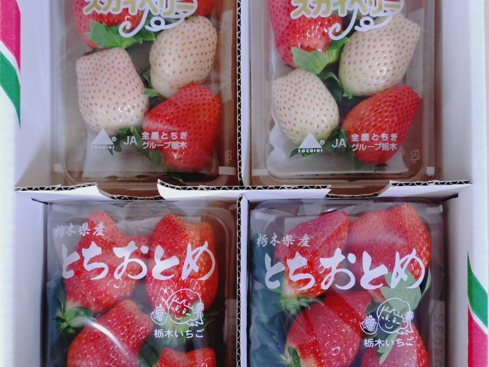 とちおとめとスカイベリー、白いちごの食べ比べセット【いちご食べ比べ】