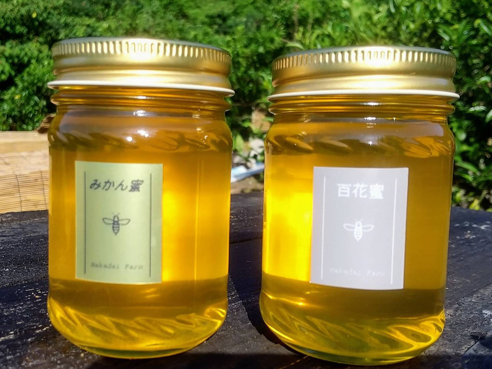【非加熱・純粋はちみつ】スッキリとした甘さとほのかな酸味が人気なみかん蜜&濃厚な甘さの百花蜜食べ比べセット150g