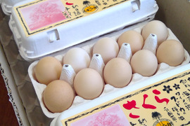 純国産鶏種「さくら」３６個（10個入れ４パック入り４個割れ保障