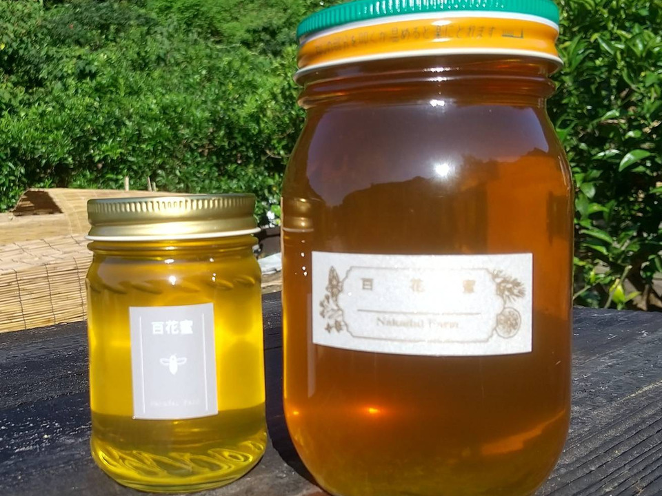 【非加熱・純粋はちみつ】山の花々からとれた濃厚な甘さの百花蜜1200g