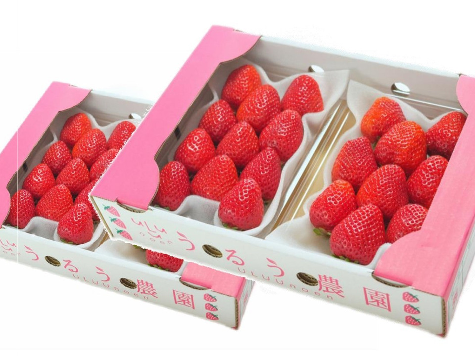 いちごの王様！あまおう苺 人気サイズ 270g×４パック