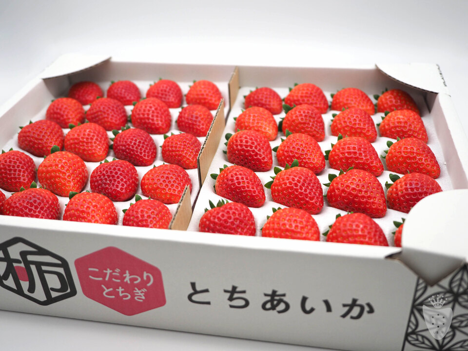  とちあいか1箱4パック(1箱で満足1.3kg以上)