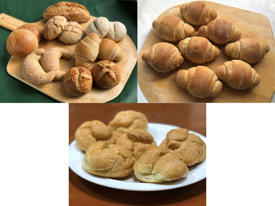 【超貴重な有機JAS認証パン】パンセット④+⑥+Sweets③：麦の栽培から一貫生産　自然栽培小麦のみ使用したパンセット+自然栽培小麦のみ使用したテーブルロール×8+シュークリーム×6