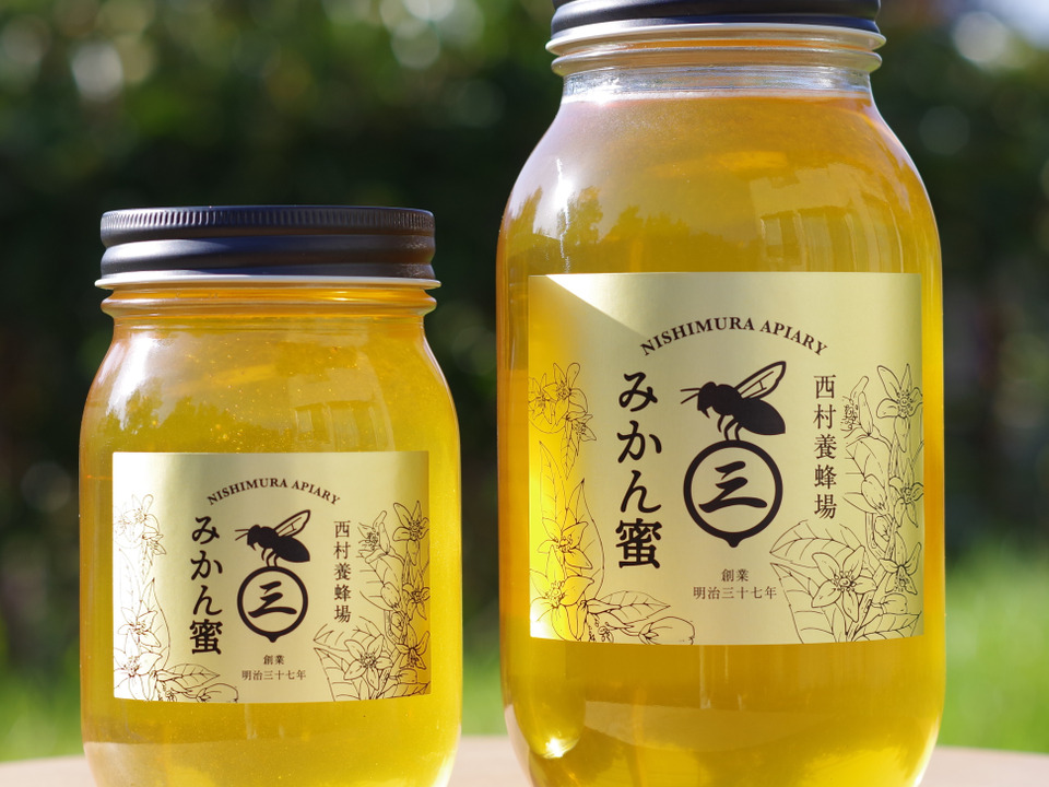 みかんどころ和歌山だからこそ！みかんの花から採れたみかん蜂蜜(600g)　2024年度産