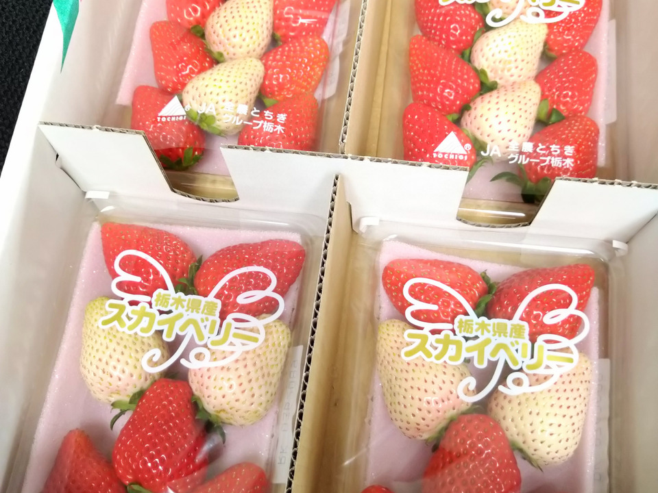 【紅白いちご】食べやすいサイズスカイベリーと白いちごの小４パックセット【いちご食べ比べ】