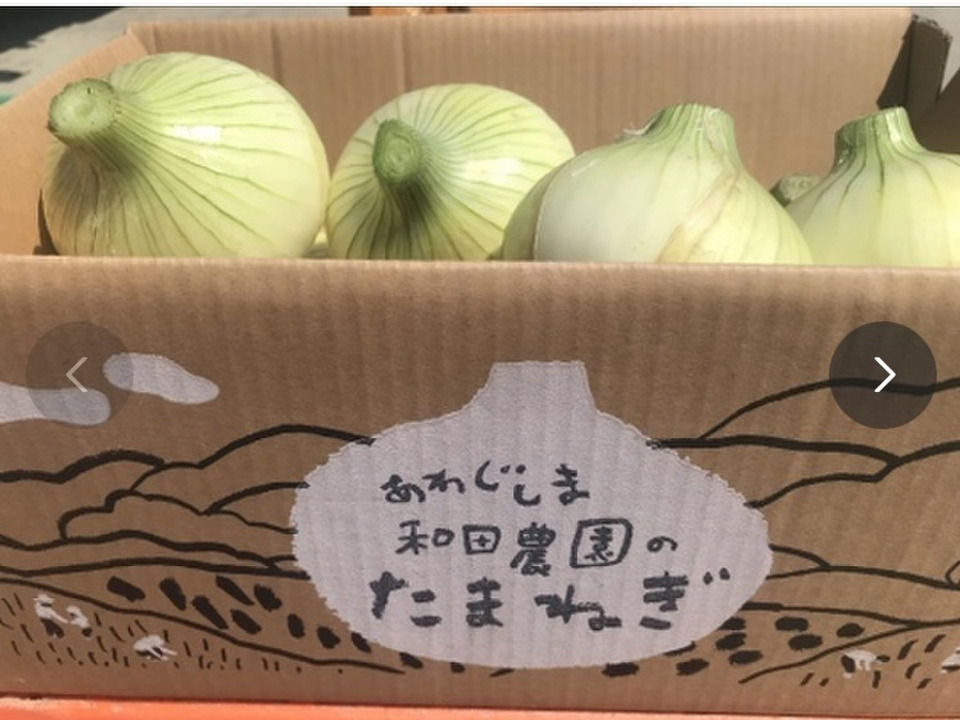 予約販売！トロあま七宝！淡路島新玉ねぎ　5kgM〜LL