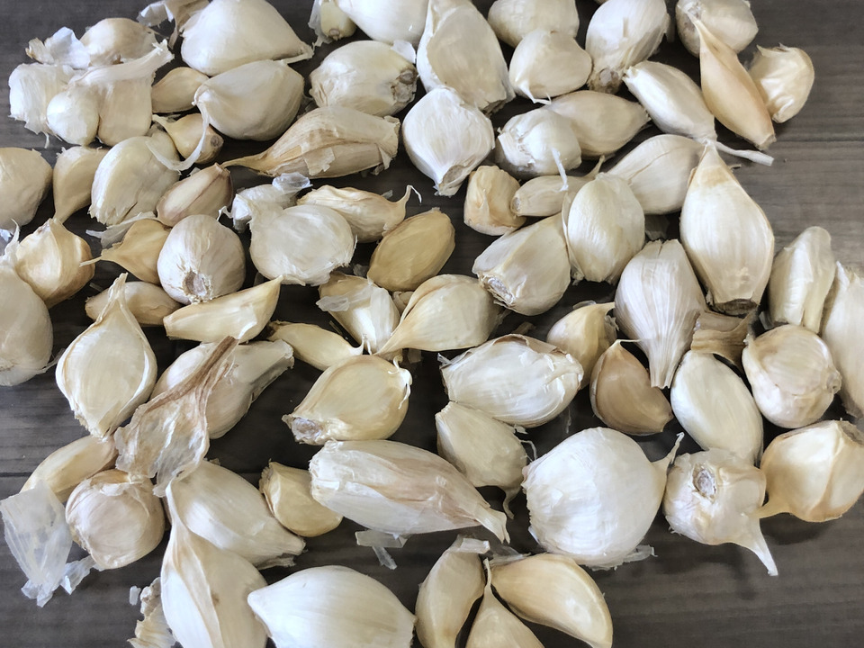 2024年産【新物】青森にんにく　訳ありバラ500g お得　ホワイト六片 家庭用