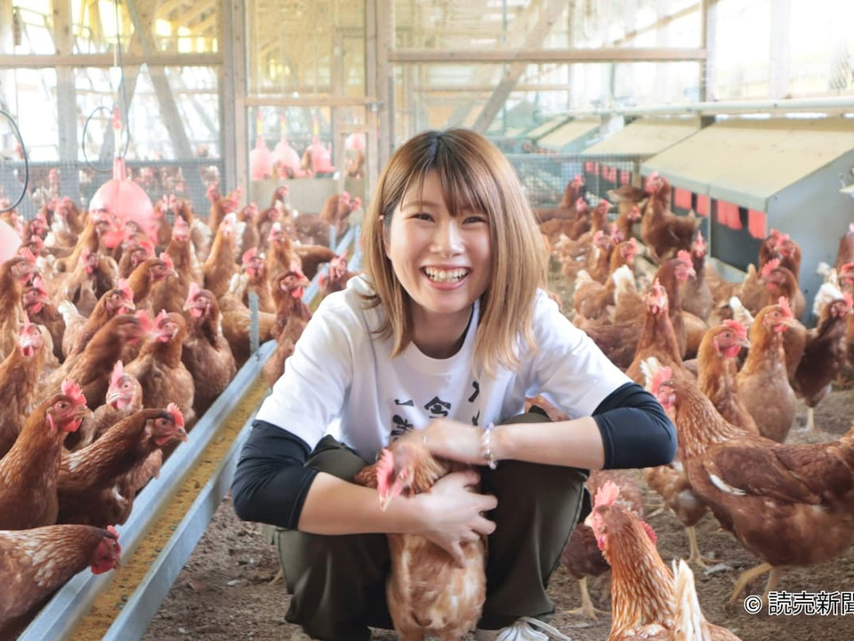 ✨個性がキラリ✨平飼いごちそう卵【あかねの虜】規格外品（40個入） 28歳2児の母がプロデュースする話題の卵【👑大手検索サイト「福岡 卵」表示ランキング１位の農場です👑】