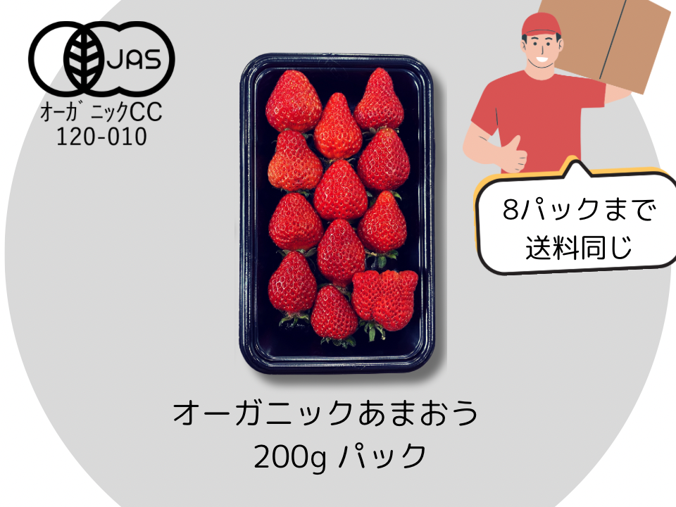 (まとめ買い用)オーガニックあまおう　200gパック　※ヤマト80サイズで発送します※