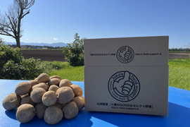 R6年産 北海道 十勝 🥔濃い味『とうや』5kg 甘くてホクホク🎵