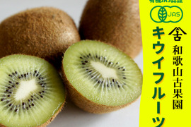 ジューシーな果肉！安心安全の“有機JAS認証栽培”和歌山県古果園キウイフルーツ サイズ混合 【たっぷり 3kg】