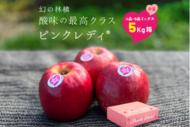 🎊発送中🎊ピンクレディー®︎  5キロ箱 極小玉23玉〜33玉サイズ 家庭用多め ID64029 長野県 信州 安曇野 リンゴ 幻 幻のリンゴ 予約 希少
