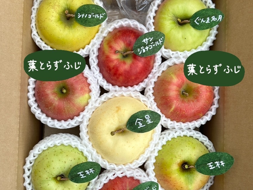 【冬ギフト】 🍎家庭用5品種詰め合わせ🍎3キロ   おまかせ 商品ID171041
