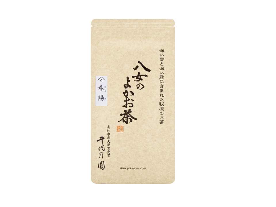 園主おすすめ煎茶：春陽100ｇ×3袋（レターパックでお届け）