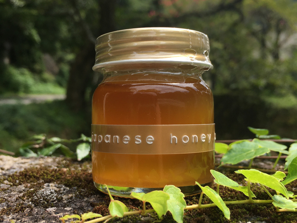 日本蜜蜂の非加熱生ハチミツ【花粉蜜/50g】【天然】日本ミツバチ　ニホンミツバチ