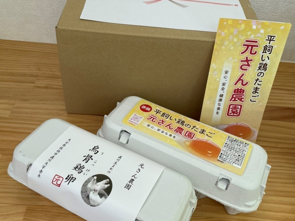 のびのび平飼い【烏骨鶏・赤鶏の卵セット10個×2】「熨斗対応可」