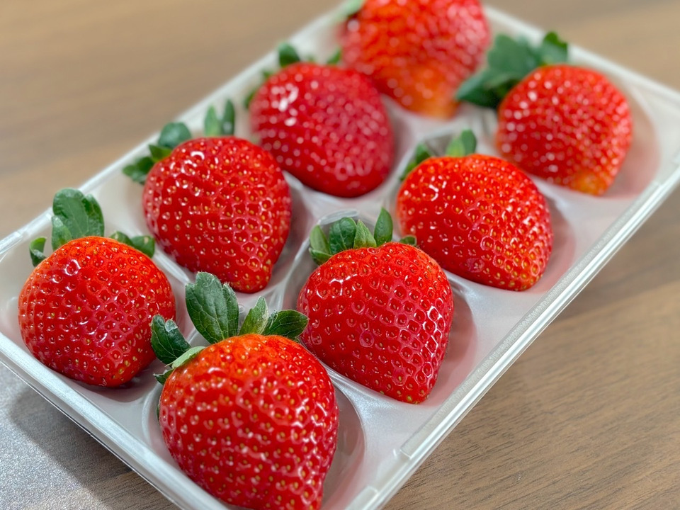 【1kg:4ケース】朝採れとちあいか　いちご生産量日本一の街からお届けします★