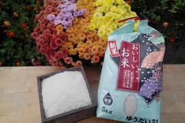 【令和6年新米】ゆうだい21🌾【玄米約20㎏】強い甘みと粘りが絶品❗️茨城産1等米✨