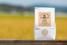 【令和６年産】想いを込めた'幻'のお米 ササシグレ 4.5kg白米【農薬・化学肥料不使用】