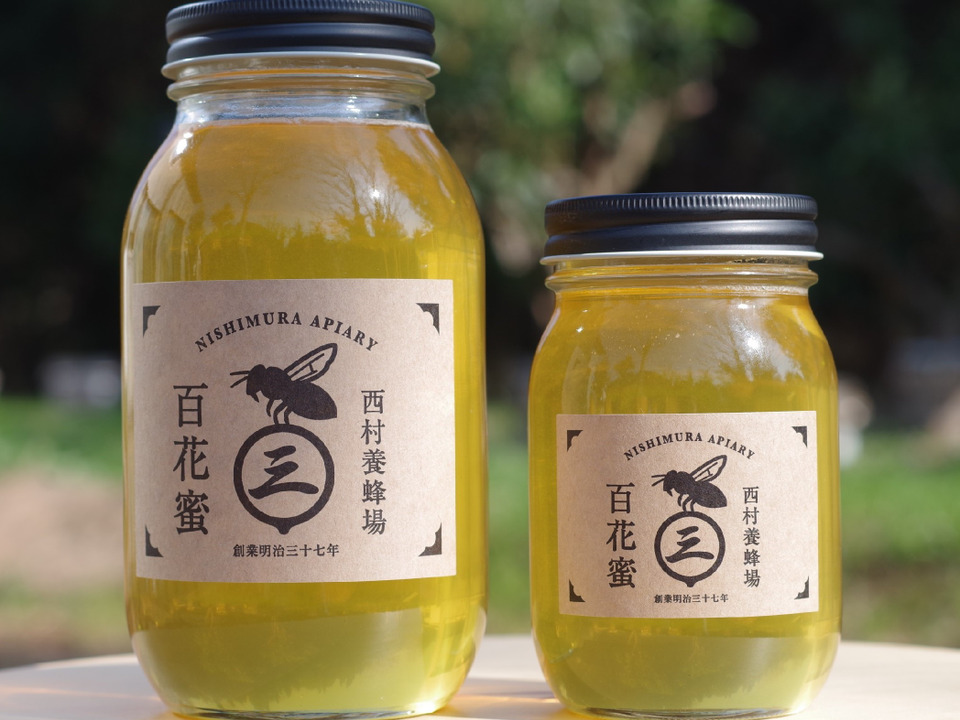 山が８割の和歌山だからこそ！山の花々から採れた蜂蜜(600g)　2024年度産