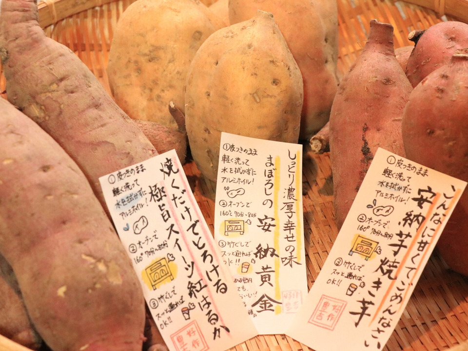 【熟成さつまいも3種食べ比べ】種類別の蜜たっぷりの焼き芋を贅沢に楽しめる〈厳選〉安納芋・紅はるか・安納黄金（3kg）🍠🍯ひとつひとつ紙に包んでお届けでプレゼントにも大人気🎁✨熨斗承ります！