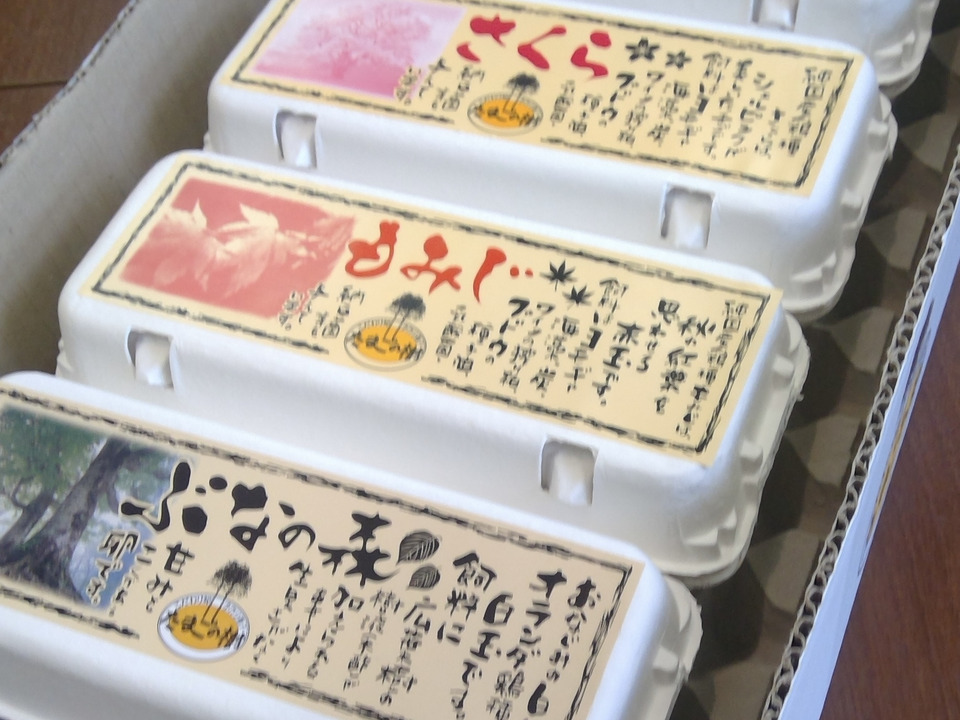 【初回限定】新鮮たまご詰め合わせセット