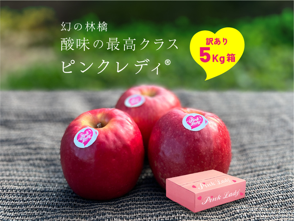 🎊発送中🎊【ヒルナンデスでました！】ピンクレディー®︎ 5キロ訳あり品 加工用にご利用ください！ID36611 長野県 信州 安曇野 リンゴ 幻 幻のリンゴ 予約 希少 旬